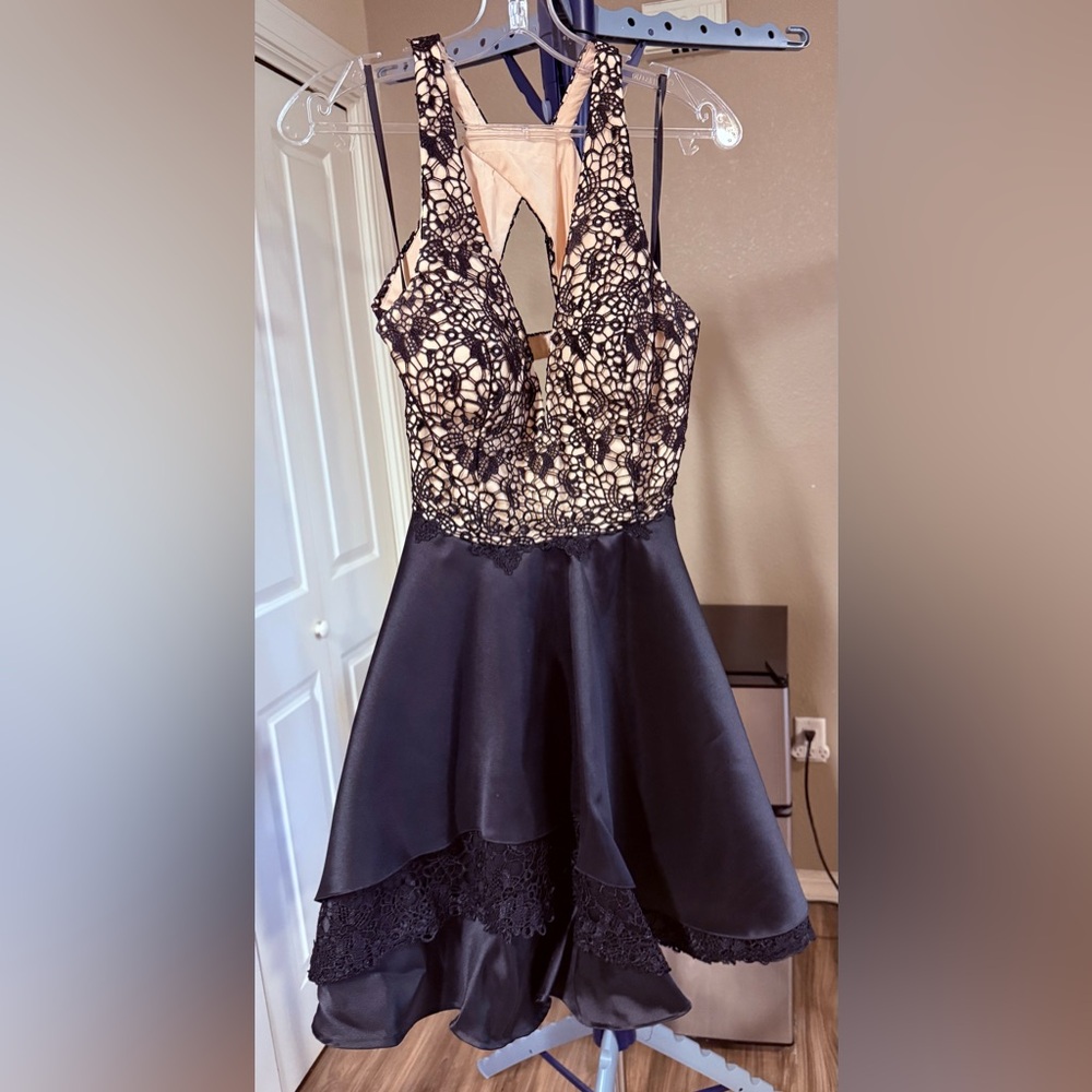 Alyce Paris Black and Nude Lace Dress